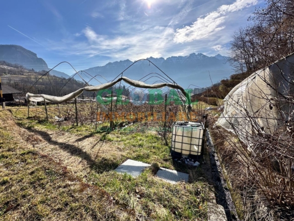 Samone – Terreno per piccoli frutti in vendita