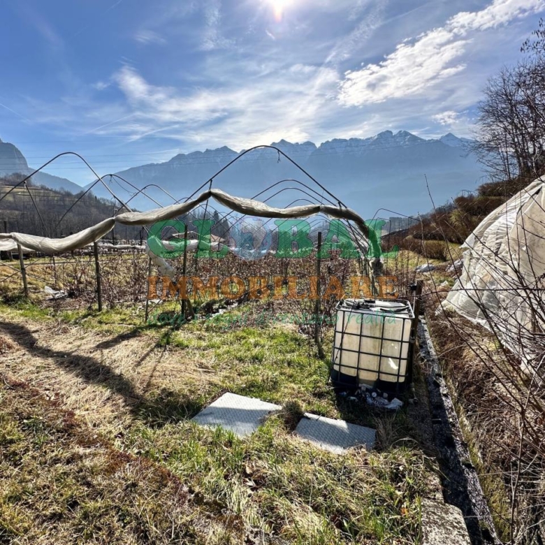 Samone – Terreno per piccoli frutti in vendita