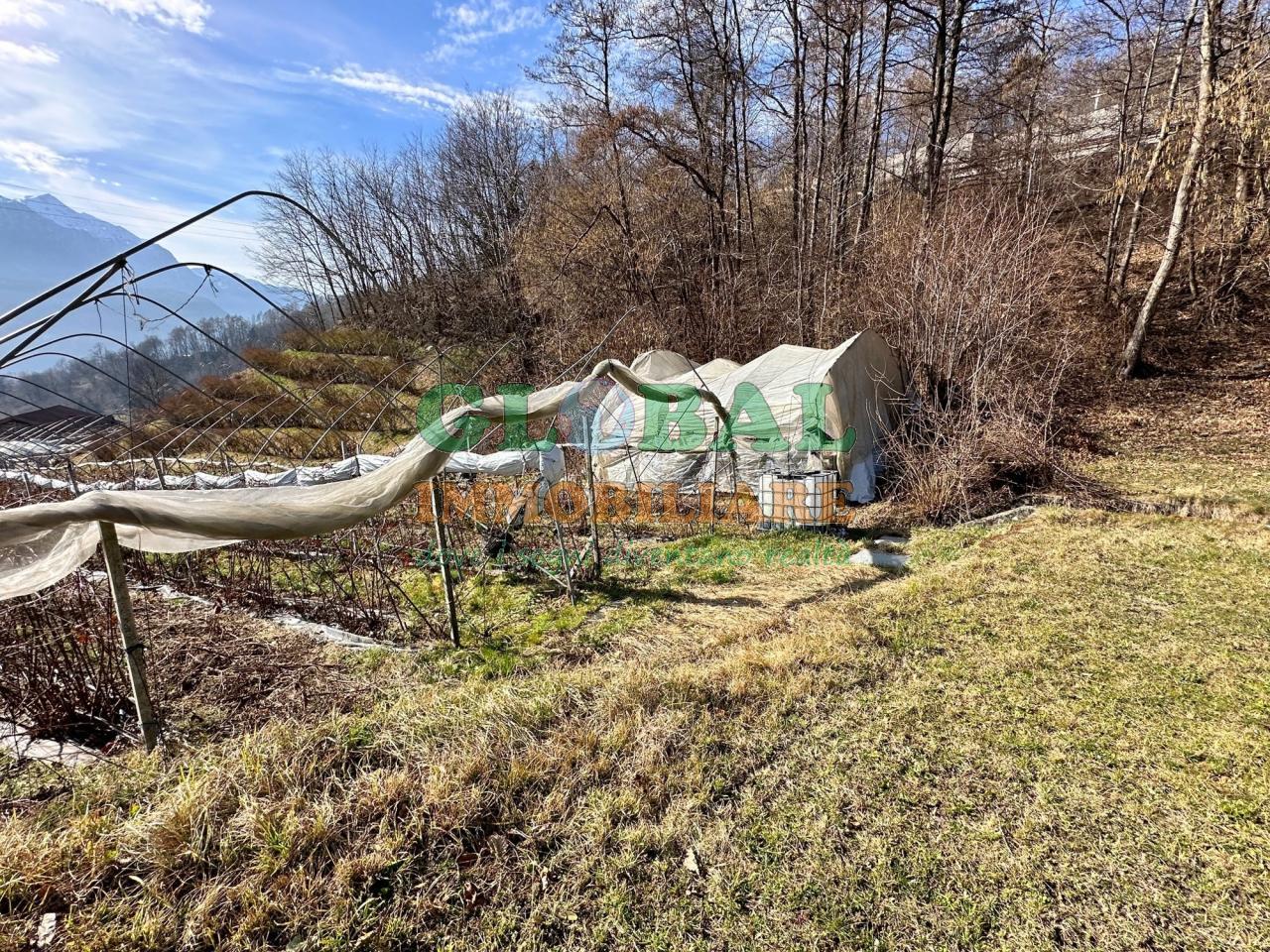Samone – Terreno per piccoli frutti in vendita