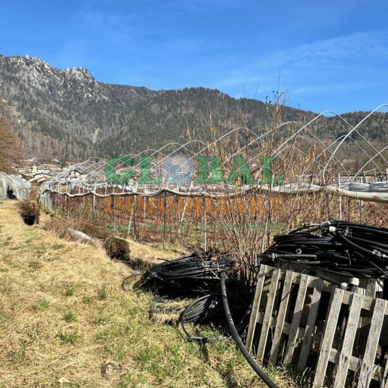 Samone – Terreno per piccoli frutti in vendita