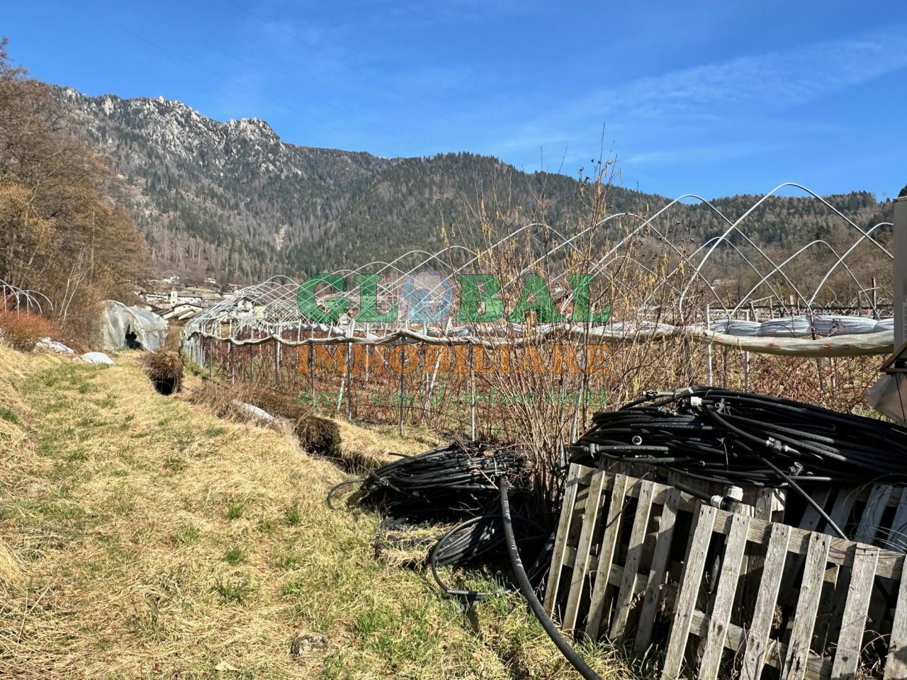 Samone – Terreno per piccoli frutti in vendita