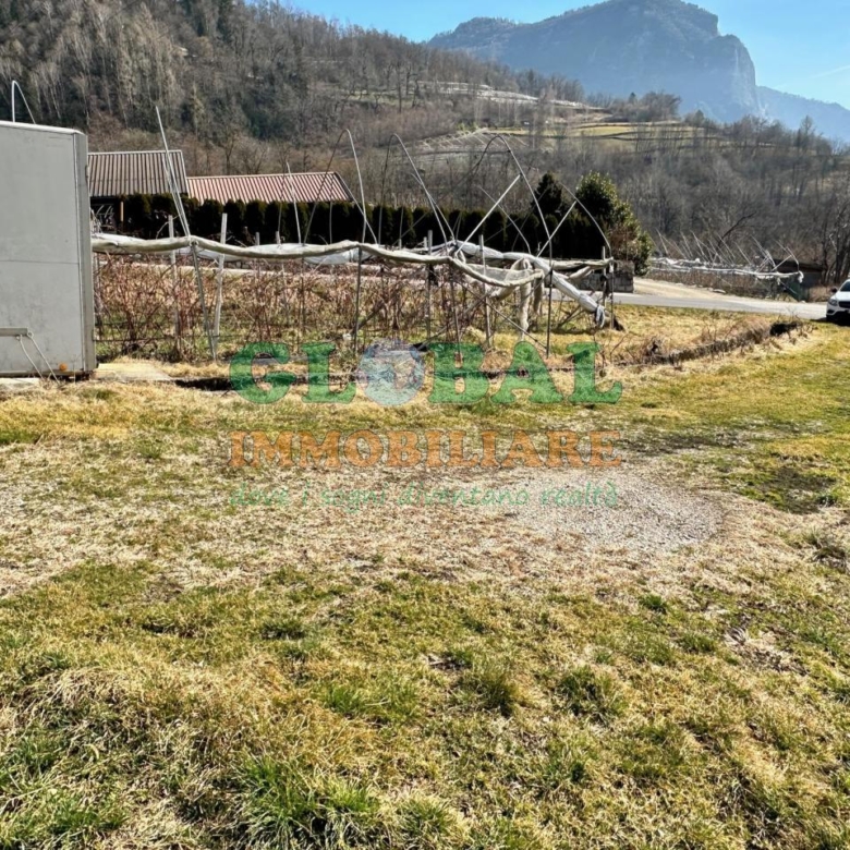 Samone – Terreno per piccoli frutti in vendita