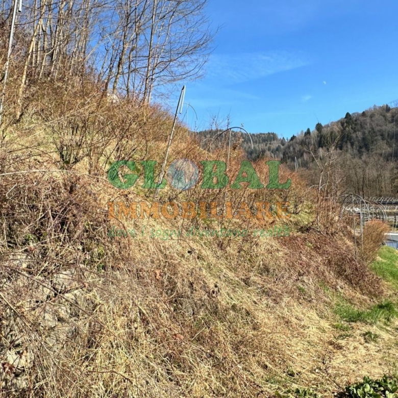 Samone – Terreno per piccoli frutti in vendita