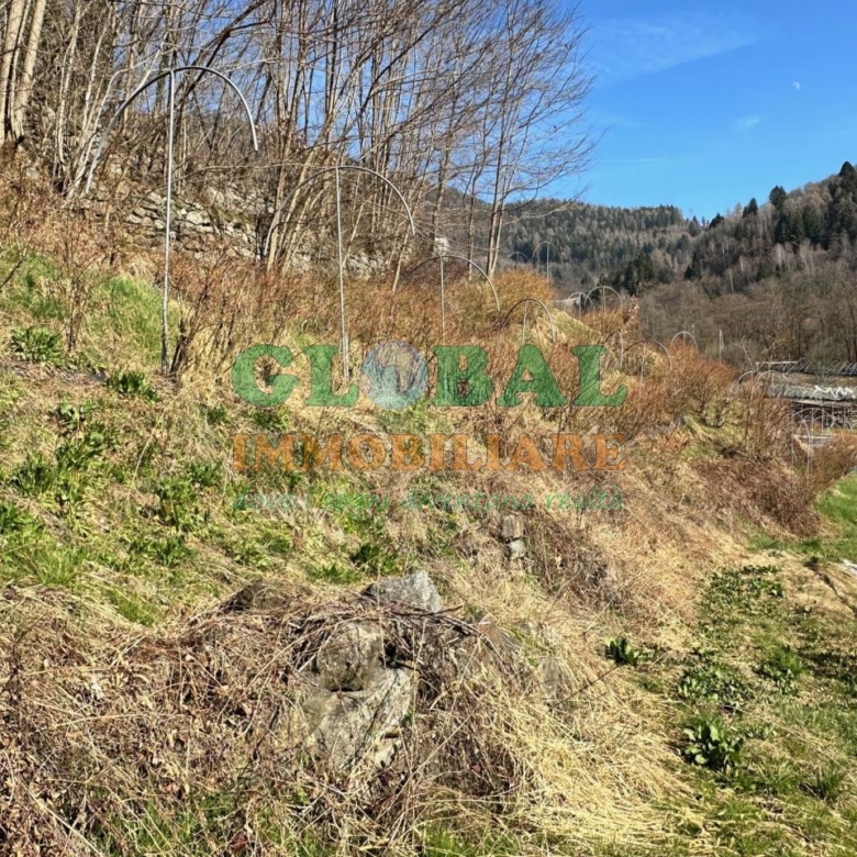 Samone – Terreno per piccoli frutti in vendita