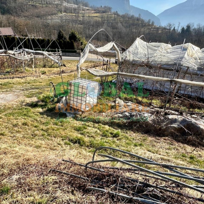 Samone – Terreno per piccoli frutti in vendita