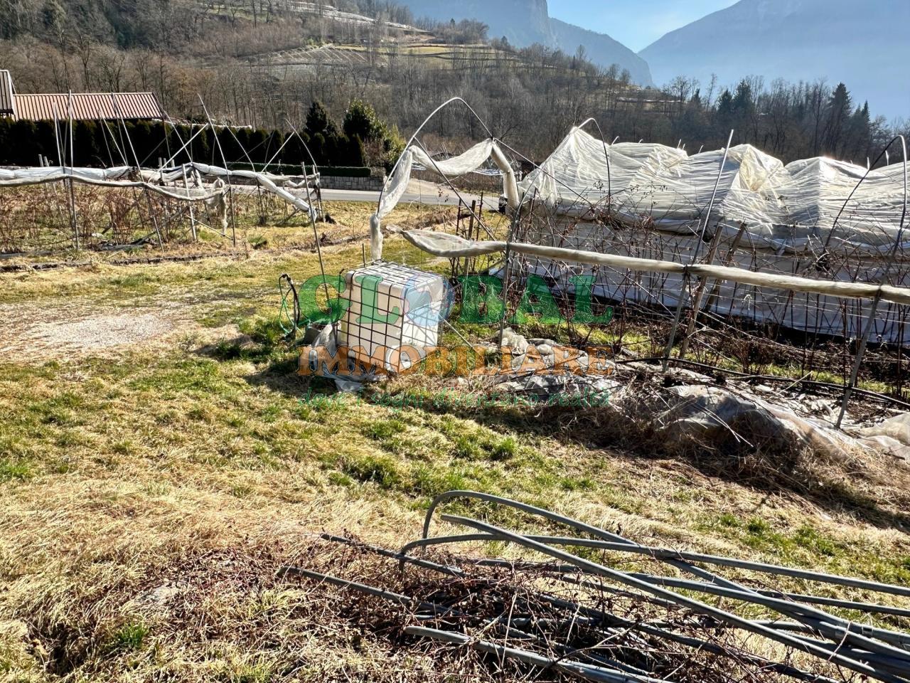Samone – Terreno per piccoli frutti in vendita