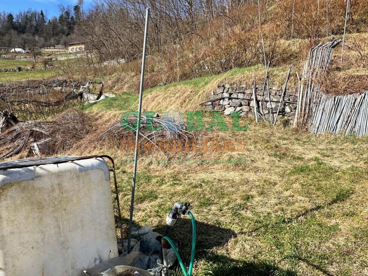 Samone – Terreno per piccoli frutti in vendita