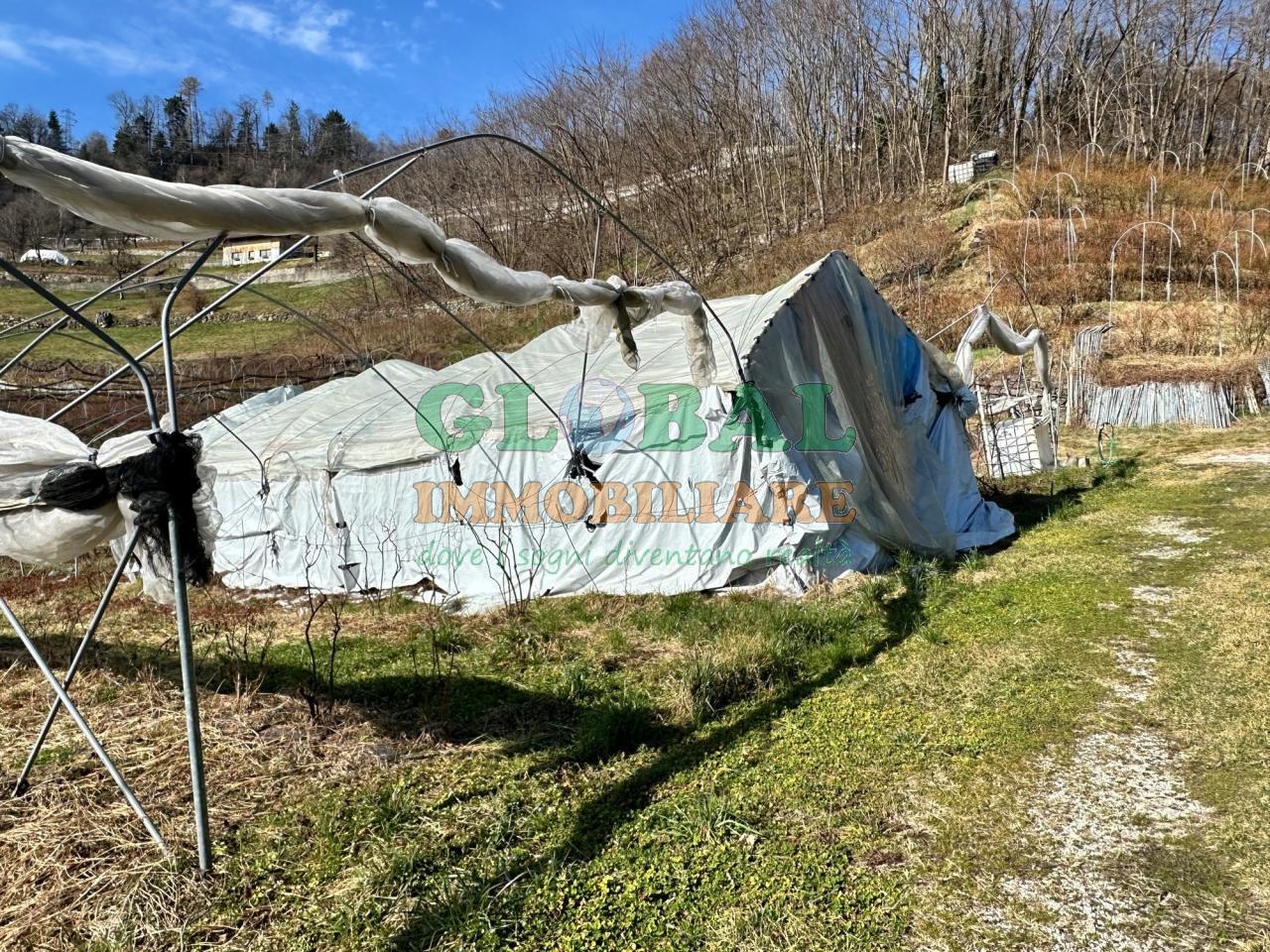 Samone – Terreno per piccoli frutti in vendita