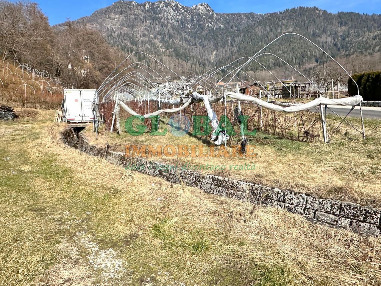 Samone – Terreno per piccoli frutti in vendita