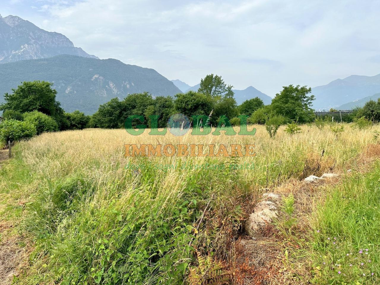 Scurelle – vasto terreno con vista castello in vendita