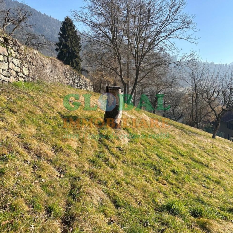 Samone – terreno edificabile in vendita