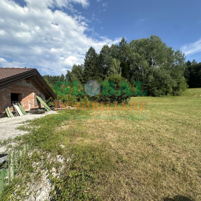 Arsiè rustico allo stato grezzo